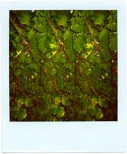 Pola-vibrations 41 - 2008