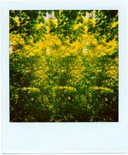 Pola-vibrations 45 - 2008