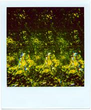 Pola-vibrations 47 - 2008