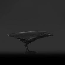 Corbeau (patine noire)