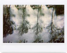 Giverny 1- 2012
