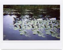 Giverny 10 - 2014