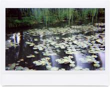 Giverny 12 - 2014