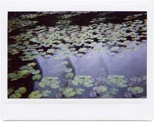 Giverny 13 - 2014