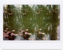 Giverny 16 - 2012
