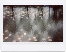 Giverny 17- 2012