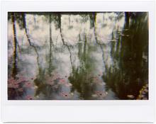 Giverny 18 - 2012