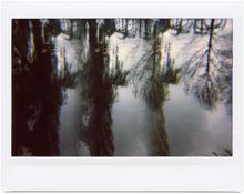 Giverny 19 - 2012
