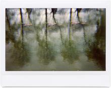 Giverny 20 - 2012
