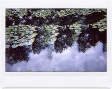 Giverny 21 - 2014