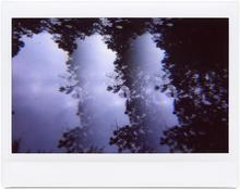 Giverny 22 - 2014
