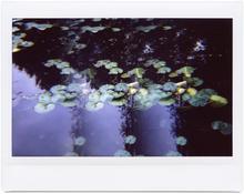 Giverny 23 - 2014