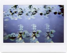 Giverny 24 - 2014
