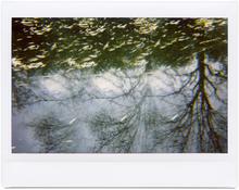 Giverny 25 - 2012