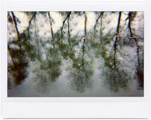 Giverny 26 - 2012
