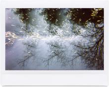 Giverny 28 - 2012
