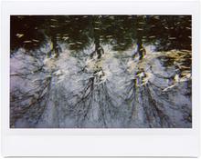 Giverny 29 - 2012