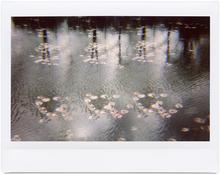 Giverny 2 - 2012