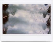 Giverny 31 - 2012