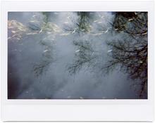Giverny 32 - 2012