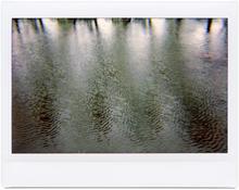 Giverny 33 - 2012