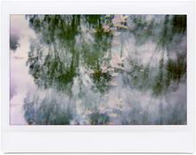 Giverny 34 - 2012