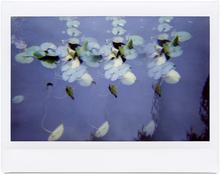 Giverny 35 - 2014