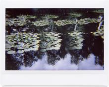 Giverny 36 - 2014