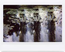 Giverny 37 - 2014