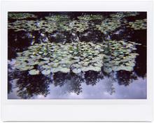 Giverny 38 - 2014