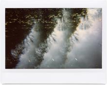 Giverny 3 - 2012