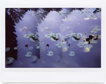 Giverny 40 - 2014