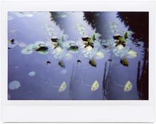Giverny 41 - 2014