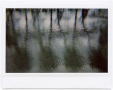 Giverny 42 - 2012