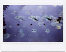 Giverny 46 - 2014