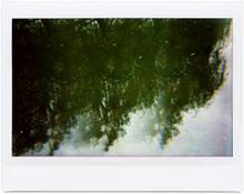 Giverny 4 - 2012