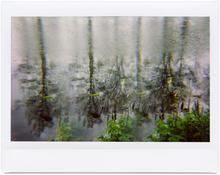 Giverny 50 - 2012