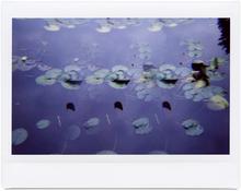 Giverny 51 - 2014