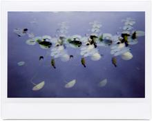Giverny 52 - 2014