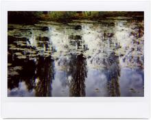 Giverny 53 - 2014