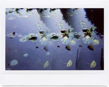 Giverny 56 - 2014