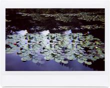 Giverny 57 - 2014