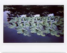 Giverny 58 - 2014