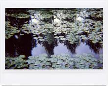 Giverny 59 - 2014