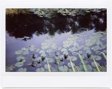 Giverny 5 - 2014