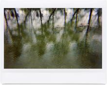 Giverny 61 - 2012