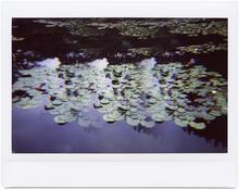 Giverny 6 - 2014