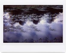 Giverny 7- 2014