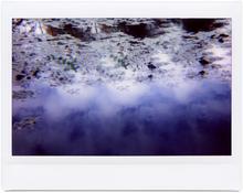 Giverny 9 - 2014