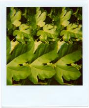 Pola-vibrations 10 - 2008